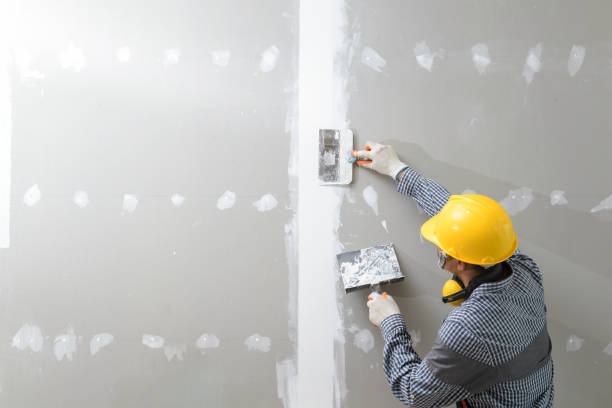 Mold Remediation for Rental Properties