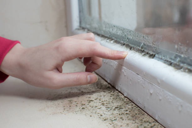 Best Forensic Mold Investigation  in Penrose, CO