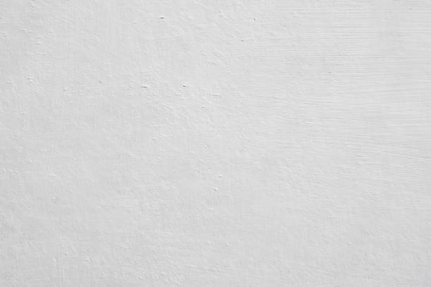 Best Emergency Mold Remediation  in Penrose, CO